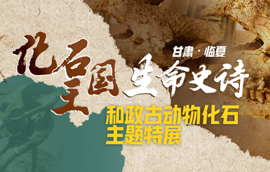 甘肅和政古動(dòng)物化石特展1月24日亮相深圳