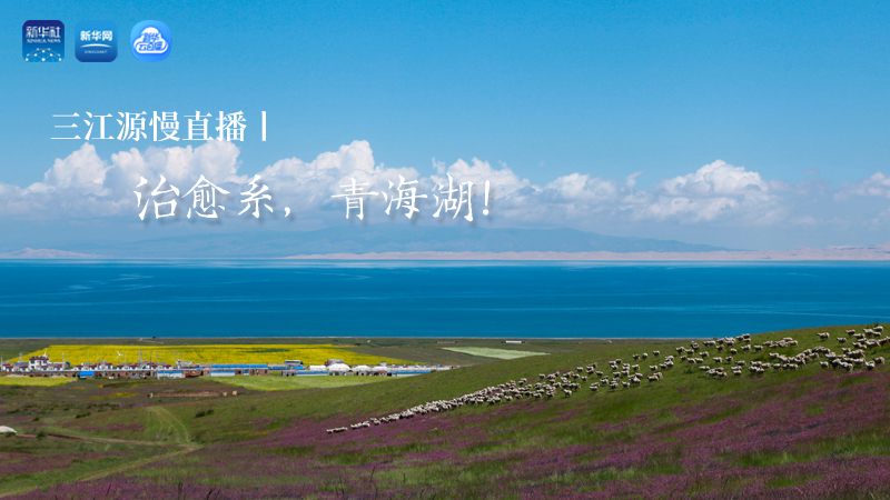 三江源慢直播丨治愈系，青海湖！