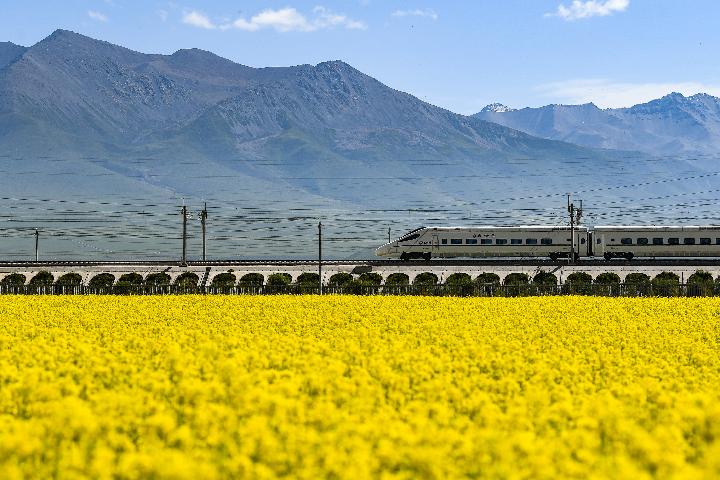 國(guó)社@青海丨祁連山下&ldquo;花經(jīng)濟(jì)&rdquo;
